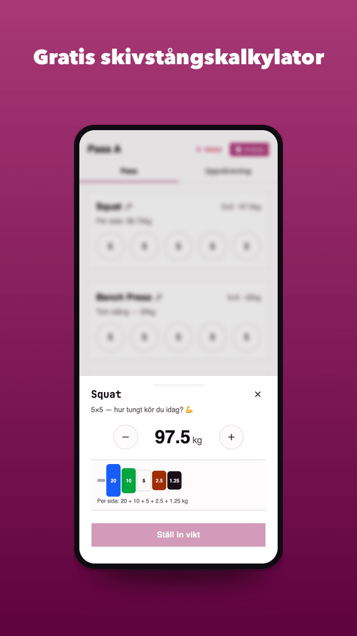 Plate calculator - exactly what to load per side